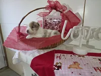 processed/492d6667-9f2e-4e9c-b033-4cef474c92ee/listing/07f7c28d-e6bf-4d1e-a103-de52fe489c6a/14a435d7-343f-4248-b02c-9b4ca76bb426