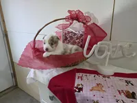 processed/492d6667-9f2e-4e9c-b033-4cef474c92ee/listing/07f7c28d-e6bf-4d1e-a103-de52fe489c6a/384efe28-9210-448b-af93-d0d75fe9779e