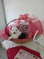 processed/492d6667-9f2e-4e9c-b033-4cef474c92ee/listing/6d73528d-4d5d-4f9c-80c9-969226ffb919/6dd5f239-11e7-45c6-96fe-050094d9ea54