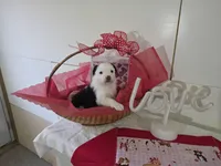 processed/492d6667-9f2e-4e9c-b033-4cef474c92ee/listing/6d73528d-4d5d-4f9c-80c9-969226ffb919/9907fcea-3823-461b-9ff1-668aa05b8581