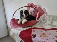 processed/492d6667-9f2e-4e9c-b033-4cef474c92ee/listing/6e587bfc-23db-4102-97a7-72baa44d3f0b/1151fc6f-58c4-424d-81e4-801bc1eb1d34