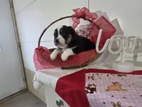 processed/492d6667-9f2e-4e9c-b033-4cef474c92ee/listing/6e587bfc-23db-4102-97a7-72baa44d3f0b/7b799323-bd22-4fe9-bbe7-b38162735c9f