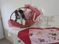 processed/492d6667-9f2e-4e9c-b033-4cef474c92ee/listing/6e587bfc-23db-4102-97a7-72baa44d3f0b/86adf072-ff39-4ac5-82f1-02e0f0e40060