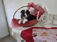 processed/492d6667-9f2e-4e9c-b033-4cef474c92ee/listing/6e587bfc-23db-4102-97a7-72baa44d3f0b/b1c4031c-0fa8-48c7-a252-d75396e52b8a