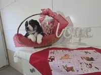 processed/492d6667-9f2e-4e9c-b033-4cef474c92ee/listing/6e587bfc-23db-4102-97a7-72baa44d3f0b/ddd7015b-5efd-4bcf-b52c-9996b4a5401c