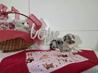 processed/492d6667-9f2e-4e9c-b033-4cef474c92ee/listing/6e96b02b-1b5b-45a2-83e1-01736321d016/52026fb4-d151-4ff9-bcff-3399b68fe42f