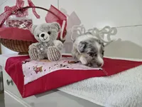 processed/492d6667-9f2e-4e9c-b033-4cef474c92ee/listing/6e96b02b-1b5b-45a2-83e1-01736321d016/99e91ac9-f43f-43a2-8409-6f16bf26079f