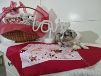 processed/492d6667-9f2e-4e9c-b033-4cef474c92ee/listing/6e96b02b-1b5b-45a2-83e1-01736321d016/a78327a4-3146-45e3-8a7f-b392953a13d2