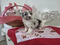 processed/492d6667-9f2e-4e9c-b033-4cef474c92ee/listing/6e96b02b-1b5b-45a2-83e1-01736321d016/be1d4b0c-880a-40ce-8b27-aa5345094a91