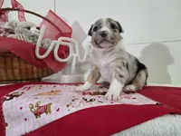 processed/492d6667-9f2e-4e9c-b033-4cef474c92ee/listing/6e96b02b-1b5b-45a2-83e1-01736321d016/f6a60c3d-3d6a-4f0d-860b-3cb1e4aff9d1