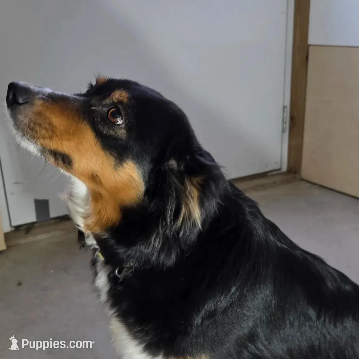 processed/492d6667-9f2e-4e9c-b033-4cef474c92ee/listing/6e96b02b-1b5b-45a2-83e1-01736321d016/fefc348b-6f56-4842-9458-e112ec2ac942/b1394db2-c75b-441d-be87-c6bed822a4d1