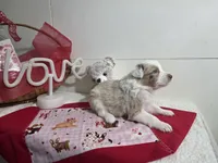 processed/492d6667-9f2e-4e9c-b033-4cef474c92ee/listing/a16f29d7-a2b5-4f36-9963-178e79ee5623/15a092e7-6e12-4fd6-8908-b8e125e4b33d