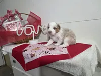 processed/492d6667-9f2e-4e9c-b033-4cef474c92ee/listing/a16f29d7-a2b5-4f36-9963-178e79ee5623/224e5af0-bc72-4dc3-84ca-e73a1dd0d4ec