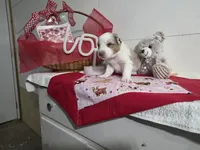 processed/492d6667-9f2e-4e9c-b033-4cef474c92ee/listing/a16f29d7-a2b5-4f36-9963-178e79ee5623/69eab8fa-fc1e-4343-a69f-1342b03ea69d