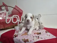 processed/492d6667-9f2e-4e9c-b033-4cef474c92ee/listing/a16f29d7-a2b5-4f36-9963-178e79ee5623/75c45979-de71-4d2b-837b-8764f724417d