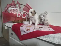 processed/492d6667-9f2e-4e9c-b033-4cef474c92ee/listing/a16f29d7-a2b5-4f36-9963-178e79ee5623/d04d8bdd-aacc-4829-a4ce-fa51be64e20d