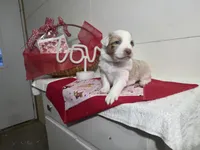 processed/492d6667-9f2e-4e9c-b033-4cef474c92ee/listing/a16f29d7-a2b5-4f36-9963-178e79ee5623/ffb4c223-095a-4a2f-9c3a-68bb9e657b94