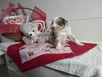 processed/492d6667-9f2e-4e9c-b033-4cef474c92ee/listing/a45b7da6-d086-4a7b-93b4-57ea64825ee9/a5c823cb-76a0-4a2b-93be-7e80b98db530