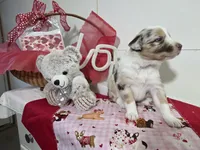 processed/492d6667-9f2e-4e9c-b033-4cef474c92ee/listing/a45b7da6-d086-4a7b-93b4-57ea64825ee9/cb7585b0-f4bc-4d75-b256-8d39ef8e7245