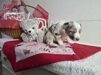 processed/492d6667-9f2e-4e9c-b033-4cef474c92ee/listing/a45b7da6-d086-4a7b-93b4-57ea64825ee9/d27ae6fb-3150-4b76-ac05-6b7f36ec2e6c