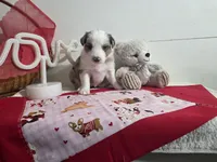 processed/492d6667-9f2e-4e9c-b033-4cef474c92ee/listing/ae6813aa-8c8f-4ab3-8557-936cb570f8c9/1e3e255f-61b8-48d2-a953-645cfbb92948