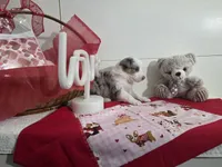 processed/492d6667-9f2e-4e9c-b033-4cef474c92ee/listing/ae6813aa-8c8f-4ab3-8557-936cb570f8c9/4a976691-abd5-4eb4-92a6-e06c81d54592