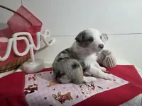 processed/492d6667-9f2e-4e9c-b033-4cef474c92ee/listing/ae6813aa-8c8f-4ab3-8557-936cb570f8c9/504c040a-4c0e-4df7-bdf3-257ca2eadbee