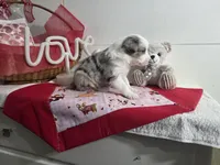 processed/492d6667-9f2e-4e9c-b033-4cef474c92ee/listing/ae6813aa-8c8f-4ab3-8557-936cb570f8c9/5d96080f-0f2a-465b-a563-8f31ad39e00e