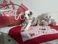 processed/492d6667-9f2e-4e9c-b033-4cef474c92ee/listing/ae6813aa-8c8f-4ab3-8557-936cb570f8c9/8e4e641e-cf55-43ec-957c-a30d7114748a