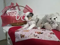 processed/492d6667-9f2e-4e9c-b033-4cef474c92ee/listing/ae6813aa-8c8f-4ab3-8557-936cb570f8c9/aeaf9167-26b9-4b64-a444-21158ac5beca