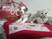 processed/492d6667-9f2e-4e9c-b033-4cef474c92ee/listing/ae6813aa-8c8f-4ab3-8557-936cb570f8c9/c8673432-61b4-4021-ade4-7111a893c77b