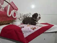 processed/492d6667-9f2e-4e9c-b033-4cef474c92ee/listing/b80c44bf-5732-42cf-bc4a-e9e488e0b6ce/6d8a75ee-1148-4f6e-9752-e1c7895e0893