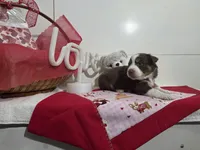 processed/492d6667-9f2e-4e9c-b033-4cef474c92ee/listing/b80c44bf-5732-42cf-bc4a-e9e488e0b6ce/7d57e735-23bd-418f-8e2d-099d9f1203c1