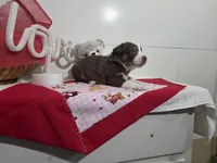 processed/492d6667-9f2e-4e9c-b033-4cef474c92ee/listing/b80c44bf-5732-42cf-bc4a-e9e488e0b6ce/ee8a80eb-7ee6-4f8f-8d3c-72dc8ccb284a