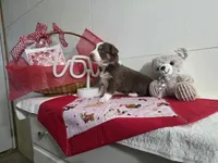 processed/492d6667-9f2e-4e9c-b033-4cef474c92ee/listing/b80c44bf-5732-42cf-bc4a-e9e488e0b6ce/f540bf6e-11e5-4559-94e0-54e34900661e