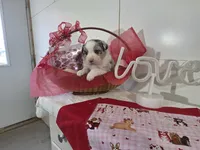 processed/492d6667-9f2e-4e9c-b033-4cef474c92ee/listing/e3615fe7-4b01-4bb5-a2bb-c2609ba55e41/3a6c8a33-2608-40ca-ad0e-697e19cad35f