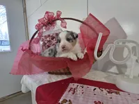 processed/492d6667-9f2e-4e9c-b033-4cef474c92ee/listing/e3615fe7-4b01-4bb5-a2bb-c2609ba55e41/48fed0b3-f97b-4669-bae5-24702f4a5c24