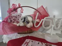 processed/492d6667-9f2e-4e9c-b033-4cef474c92ee/listing/e3615fe7-4b01-4bb5-a2bb-c2609ba55e41/4907d68d-6fbd-4e4a-9638-66898ec5adc7