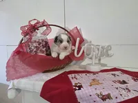 processed/492d6667-9f2e-4e9c-b033-4cef474c92ee/listing/e3615fe7-4b01-4bb5-a2bb-c2609ba55e41/6d622a3b-7fdb-4656-938a-73c224e76466