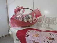 processed/492d6667-9f2e-4e9c-b033-4cef474c92ee/listing/e3615fe7-4b01-4bb5-a2bb-c2609ba55e41/beee07bf-fe6a-4f4c-848a-1359ac8e08ec