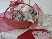 processed/492d6667-9f2e-4e9c-b033-4cef474c92ee/listing/e3615fe7-4b01-4bb5-a2bb-c2609ba55e41/cbfc27c3-1dfa-4e14-9343-762d6e496f8b