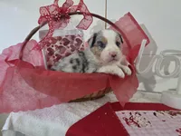 processed/492d6667-9f2e-4e9c-b033-4cef474c92ee/listing/e3615fe7-4b01-4bb5-a2bb-c2609ba55e41/f7f21ce2-dd84-4036-80d6-80938b9e37a7