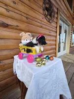 Gigi, a  Australian Shepherd for sale in Moravia Iowa, MORAVIA IOWA – Photo 3 of 9