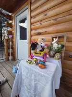 Gigi, a  Australian Shepherd for sale in Moravia Iowa, MORAVIA IOWA – Photo 8 of 9