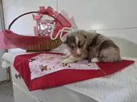 processed/492d6667-9f2e-4e9c-b033-4cef474c92ee/listing/fefc348b-6f56-4842-9458-e112ec2ac942/534e7ea0-9881-4b1c-9c1e-ceba53b57243