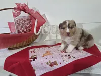 processed/492d6667-9f2e-4e9c-b033-4cef474c92ee/listing/fefc348b-6f56-4842-9458-e112ec2ac942/9f5d9f0d-62de-4c25-8009-d52cbe6f56ea