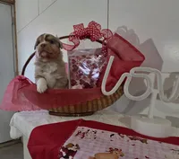 processed/492d6667-9f2e-4e9c-b033-4cef474c92ee/listing/fefc348b-6f56-4842-9458-e112ec2ac942/fd1b731c-105b-4dbb-a809-973936486735