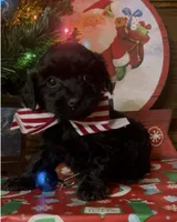 processed/4930b394-4d8a-4724-876d-f5226b5911d6/listing/0802de79-9938-4948-afbc-507f85639c75/0fa75941-88ef-4f96-bf2e-2528a9265d83