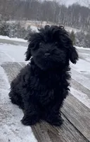 processed/4930b394-4d8a-4724-876d-f5226b5911d6/listing/0802de79-9938-4948-afbc-507f85639c75/24c799b3-41ef-4f22-8986-1a2ba7363b76