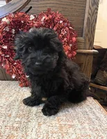 processed/4930b394-4d8a-4724-876d-f5226b5911d6/listing/0802de79-9938-4948-afbc-507f85639c75/3224cef7-1ecd-4349-963a-6a8ce01df933